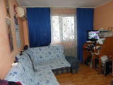 apartament 2 camere Delfinului