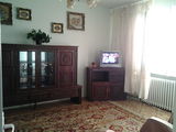 Apartament central