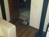 apartament de vanzare