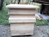 apicultura-tamplarie