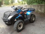 ATV Linhai Aniversary 300cc 2008