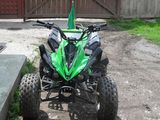 Atv Quad Verde