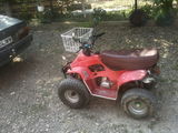 ATV110cc  din 2008