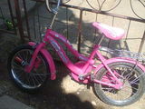 bicicleta copii [fete]