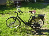 bicicleta cu motor