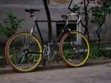 Bicicleta Cursiera