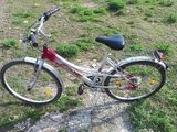 Bicicleta dama Vortex