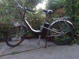 Bicicleta electrica-asistata