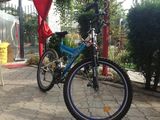 Bicicleta RICH