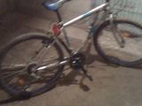 Bicicleta Rich