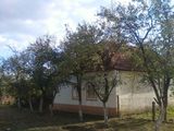 Biled Casa cu gradina 1000 mp