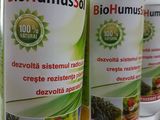Biohumussol – ingrasamant natural organic