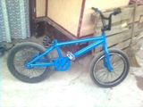 Bmx mongoose