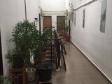 Bragadiru Ilfov Strada Cactusului nr 10