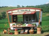 Bucatareasa raw-vegan, vegetarian