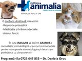 Cabinet veterinar Multiserv Animalia Floresti