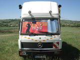 Camion apicol