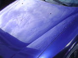 Capota opel vectra b