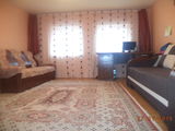 Casa 5 camere, 3845mp,Inand, la 25 km de Oradea