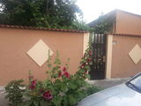 casa curte proprietar