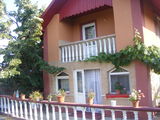 Casa/Vila oras Costesti