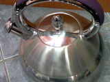 ceainic inox