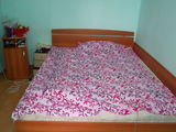 Colega de apartament