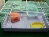 Cuşcă hamsteri