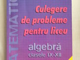 Culegere de probleme pentru liceu – matematica, algebra, Nita