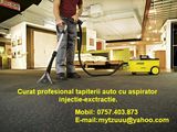Curat profesional tapiterii auto .