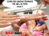 Curs de aplicare a unghiilor cu gel, constructie gel si tips Nivelul 1
