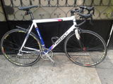 Cursiera Wilier Triestina