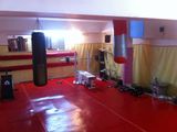 Cursuri de BJJ/MMA/Autoaparare/Lupte/Judo