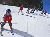 Cursuri de ski