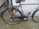 DAU BICICLETA WHEELER