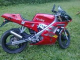 derbi gpr 50