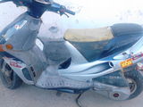 dezmembrez derby predator 50c