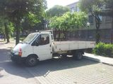 execut transport
