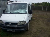FIAT DUCATO MINIBUS