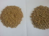 furaje pui,curca,porci,prepelite,iepuri-producator