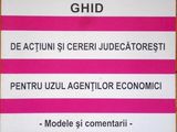 Ghid de actiuni si cereri judecatoresti pentru uzul agentilor economici