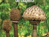 Ghidul culegatorului de ciuperci