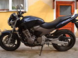Honda Hornet