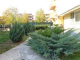 Inchiriere 3 camere Greenfield