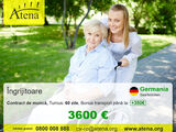 Ingrijire batrani in Germania