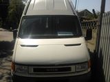 Iveco Daily50C13