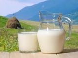 LAPTE DE VACA