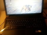 LAPTOP LENOVO 2.4 DUO/8GB DDR3/1 TB HDD/1GB VIDEO