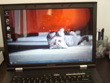 Laptop Lenovo 3000 N200, 3GB Ram, 2.00GHz, HDD 160GB - Super Pret !!!