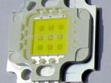 LED 10W / 10-12VCC-900mA